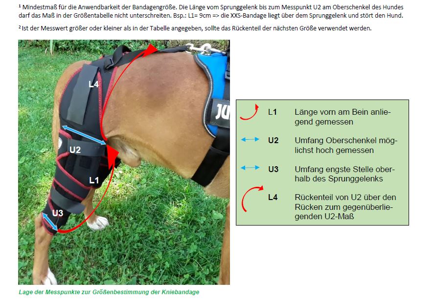 TSM Hundebandage Carthago 7535 Kniebandage Messpunkte Größentabelle Größen Hundekniebandage Hundeknie