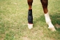 Preview: 7160 TSM vet-Reha Fesselkopf-Bandage hinten, Pferdegamaschen