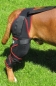 Preview: Hier erkennen Sie die außen- und innenliegenden eingearbeiteten Federn der TSM Hundekniebandage Carthago 7535