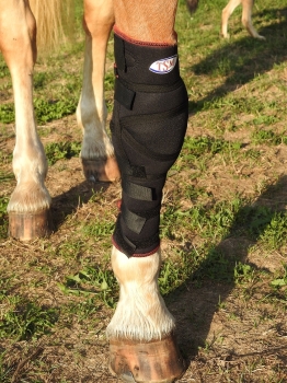 TSM Vet-Reha Polsterbandage für das Vorderfußwurzelgelenk des Pferde effektiver Schutz vor Verletzungen und Prellungen