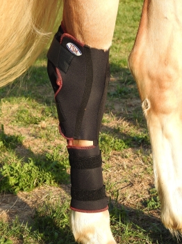 Zusammen mit der Ligasano® vet Wundbehandlung bildet die TSM vet-Verbandsbandage für das Sprunggelenk ein effizientes Verbandssystem