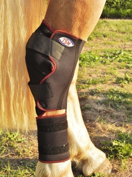 Zuverlässiger Schutz für das Sprunggelenk Ihres Pferdes durch die TSM vet-Reha Polsterbandage