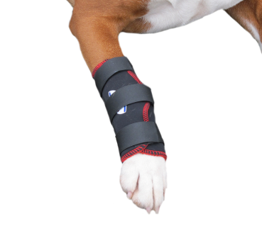 TSM vet-Pro Reha-Bandage für den Hund und sein Vorderbein