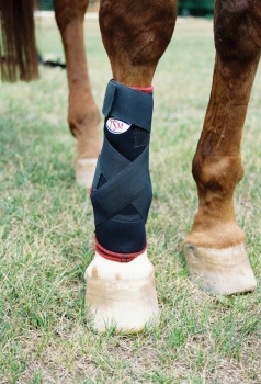 TSM vet-Reha Fesselkopfbandage für das vordere Bein 7150 eine Bandage für Pferde von TSM