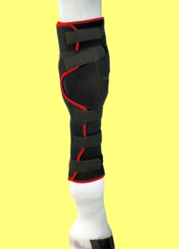 Bei Arthrose im rechten Vorderfußwurzelgelenk gibt die TSM Bandage wertvolle Unterstützung Rückansicht