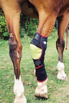 Zuverlässiger Schutz für das Sprunggelenk Ihres Pferdes durch die TSM vet-Reha Polsterbandage