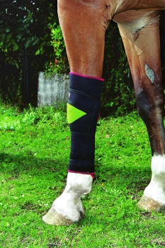 TSM Vet-Reha Polsterbandage für das Vorderfußwurzelgelenk des Pferde effektiver Schutz vor Verletzungen und Prellungen