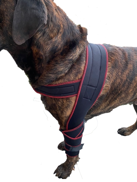 7545 TSM Ellenbogen-Bandage für Hunde "Athena"