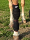 7263 TSM vet-Reha Pferd Narkolepsiebandage, links, Pferdegamaschen